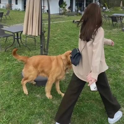 本和我